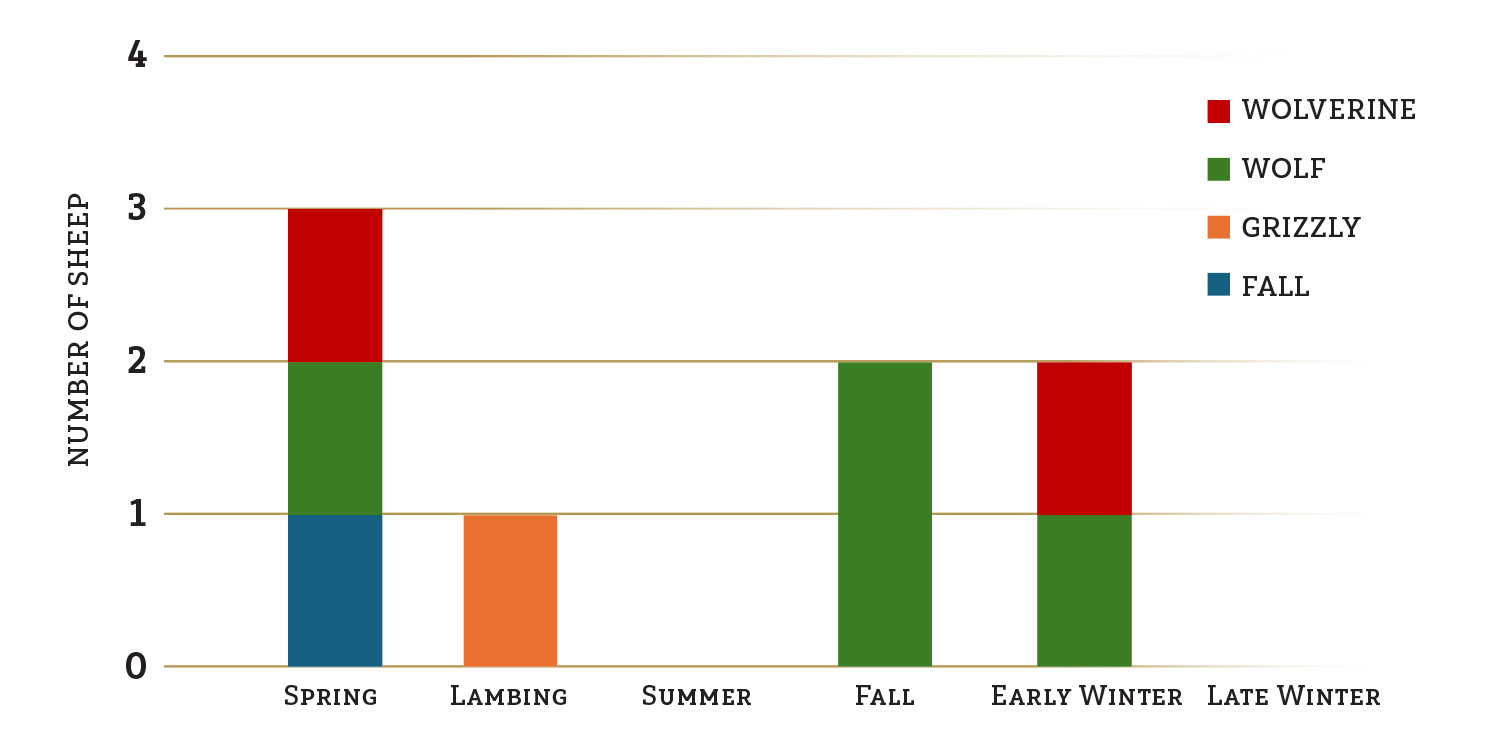 Seasonal timing and cause of collared Stone’s sheep mortalities from 2022-2024.